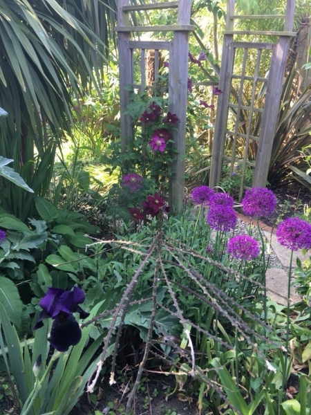 Marksbury Avenue Gardens